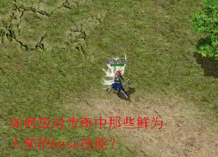 ���Ӧ�Դ�������Щ��Ϊ��֪��boss���ܣ�