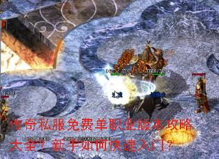 ����˽����ѵ�ְҵ�汾���Դ�ȫ��������ο������ţ�