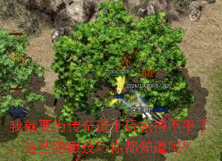 我就要为传奇道士玩家抱不平了,这些隐藏技巧你都知道吗? 我就要为传奇道士玩家抱不平了,这些隐藏技巧你都知道吗?