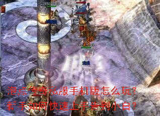 泡点传奇私服手机版怎么玩?新手如何快速上手告别小白? 泡点传奇私服手机版怎么玩?新手如何快速上手告别小白?