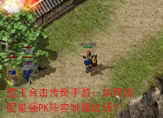 星王合击传奇手游:如何搭配最强PK阵容制霸战场? 星王合击传奇手游:如何搭配最强PK阵容制霸战场?