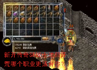 �¿�����SFսʿ��ʦ�����ĸ�ְҵ���ʺ��㣿
