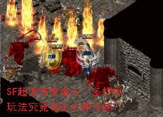 SF���䴫���ʿ���������淨�����ж����ֿ��ܣ�