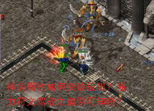 神装属性如何突破极限?强力符文驾驭之道你可知晓? 神装属性如何突破极限?强力符文驾驭之道你可知晓?