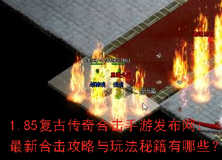 1.85���Ŵ���ϻ����η����������ºϻ��������淨�ؼ�����Щ��