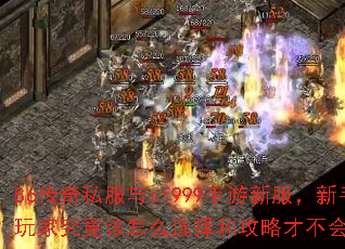 86����˽����sf999�����·���������Ҿ�������ôѡ��͹��ԲŲ���ȿӣ�