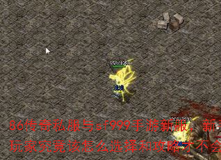 86����˽����sf999�����·���������Ҿ�������ôѡ��͹��ԲŲ���ȿӣ�