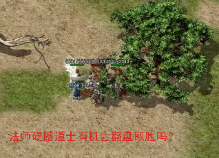 法师硬撼道士有机会翻盘取胜吗? 法师硬撼道士有机会翻盘取胜吗?