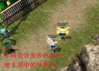 ��θ�Ч������Ѫ���������еľ�Ӣ�֣�