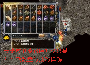 ���滢�����ٻ�����ֻè���ٻ������뼼�����