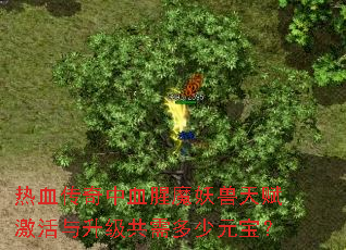 ��Ѫ������Ѫ��ħ�����츳�����������������Ԫ����