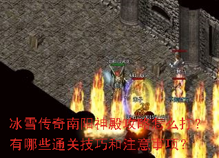 ��ѩ��������������ô������Щͨ�ؼ��ɺ�ע�����