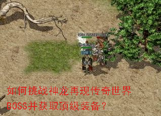 �����ս�������ִ�������BOSS����ȡ����װ����