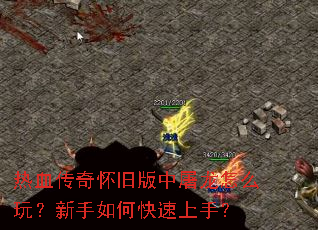 ��Ѫ���滳�ɰ���������ô�棿������ο������֣�