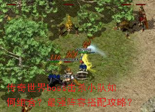 传奇世界boss击杀小队如何组合?最强阵容搭配攻略? 传奇世界boss击杀小队如何组合?最强阵容搭配攻略?