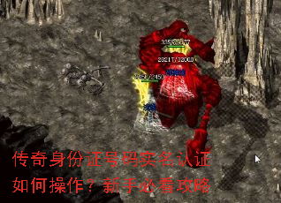 ��������֤����ʵ����֤��β��������ֱؿ�����