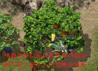 热血传奇私服12周年客户端如何下载?新手入门攻略全解析 热血传奇私服12周年客户端如何下载?新手入门攻略全解析