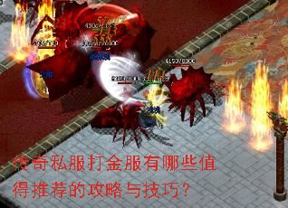 传奇私服打金服有哪些值得推荐的攻略与技巧? 传奇私服打金服有哪些值得推荐的攻略与技巧?