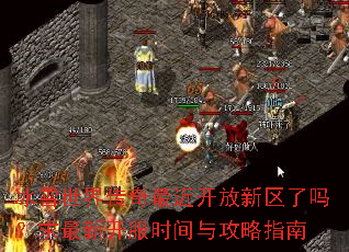 ��ѩ���紫����������������������¿���ʱ���빥��ָ��
