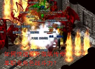 ��ο�������΢�˴��浥ְҵ��ɫս������