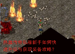 热血传奇私服新手如何快速升级与获取装备攻略? 热血传奇私服新手如何快速升级与获取装备攻略?