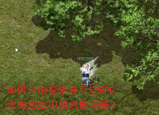 �������̽��������RPG������Ϸ�е��ڲ�������