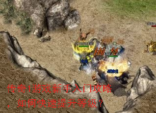 传奇1游戏新手入门攻略,如何快速提升等级? 传奇1游戏新手入门攻略,如何快速提升等级?
