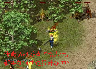 传奇私服游戏攻略大全,新手如何快速提升战力? 传奇私服游戏攻略大全,新手如何快速提升战力?