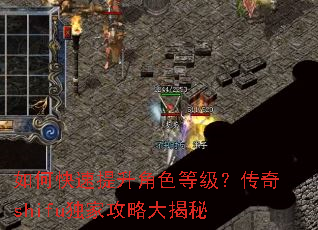 ��ο���������ɫ�ȼ�������shifu���ҹ��Դ����
