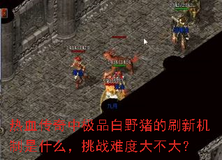 热血传奇中极品白野猪的刷新机制是什么,挑战难度大不大? 热血传奇中极品白野猪的刷新机制是什么,挑战难度大不大?