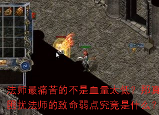 ��ʦ��ʹ��Ĳ���Ѫ��̫�ͣ����������ŷ�ʦ���������㾿����ʲô��