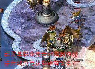 �¿���ְҵ����sf��ο�������ս�����ȡϡ��װ����