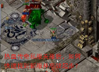 热血传奇私服关服后,如何快速找到新服并高效起步? 热血传奇私服关服后,如何快速找到新服并高效起步?