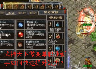 武神天下微变单职业新手如何快速提升战力? 武神天下微变单职业新手如何快速提升战力?