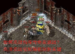 ��θ�Чָ�Ӵ������ս������ʵս��Ƶ������ʤ�ؼ�
