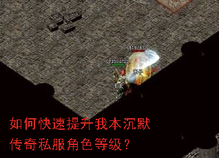 如何快速提升我本沉默传奇私服角色等级? 如何快速提升我本沉默传奇私服角色等级?
