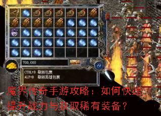 ħ�紫�����ι��ԣ���ο�������ս�����ȡϡ��װ����