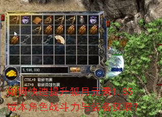 如何快速提升狐月元素1.85版本角色战斗力与装备获取? 如何快速提升狐月元素1.85版本角色战斗力与装备获取?