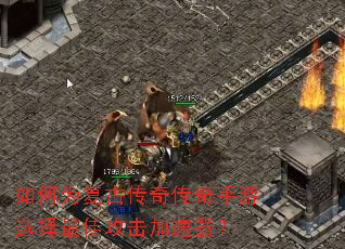 ���Ϊ���Ŵ��洫������ѡ����ѹ�����������