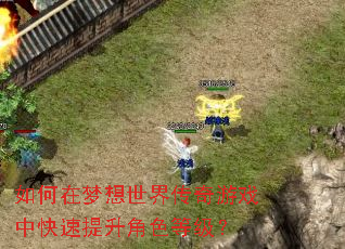 如何在梦想世界传奇游戏中快速提升角色等级? 如何在梦想世界传奇游戏中快速提升角色等级?