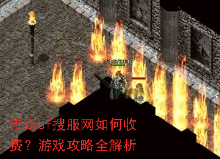 传奇sf搜服网如何收费?游戏攻略全解析 传奇sf搜服网如何收费?游戏攻略全解析