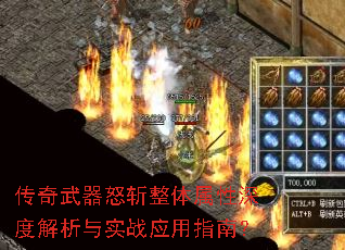 ��������ŭն����������Ƚ�����ʵսӦ��ָ�ϣ�
