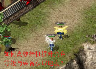 如何高效挂机提升角色等级与装备获取速度? 如何高效挂机提升角色等级与装备获取速度?