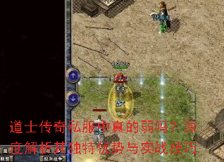 道士传奇私服中真的弱吗?深度解析其独特优势与实战技巧 道士传奇私服中真的弱吗?深度解析其独特优势与实战技巧