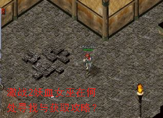 激战2妖血女巫在何处寻找与获取攻略? 激战2妖血女巫在何处寻找与获取攻略?