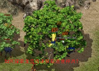 ���̽���������л�ȡ���������