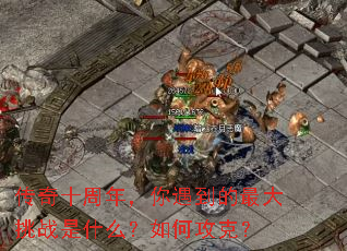 ����ʮ���꣬�������������ս��ʲô����ι��ˣ�