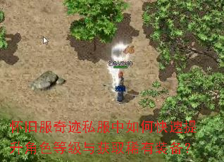 怀旧服奇迹私服中如何快速提升角色等级与获取稀有装备? 怀旧服奇迹私服中如何快速提升角色等级与获取稀有装备?