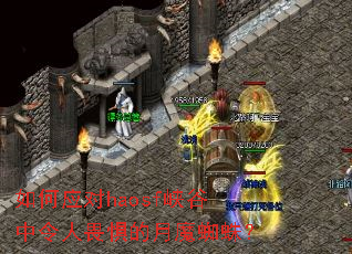 ���Ӧ��haosfϿ��������η�����ħ֩�룿