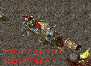 如何选择最适合单职业打金的传奇服务器? 如何选择最适合单职业打金的传奇服务器?